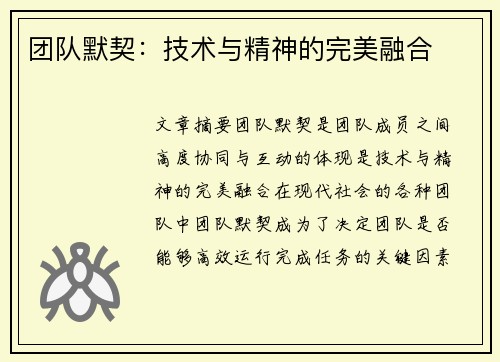 团队默契：技术与精神的完美融合