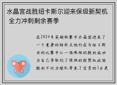 水晶宫战胜纽卡斯尔迎来保级新契机 全力冲刺剩余赛季